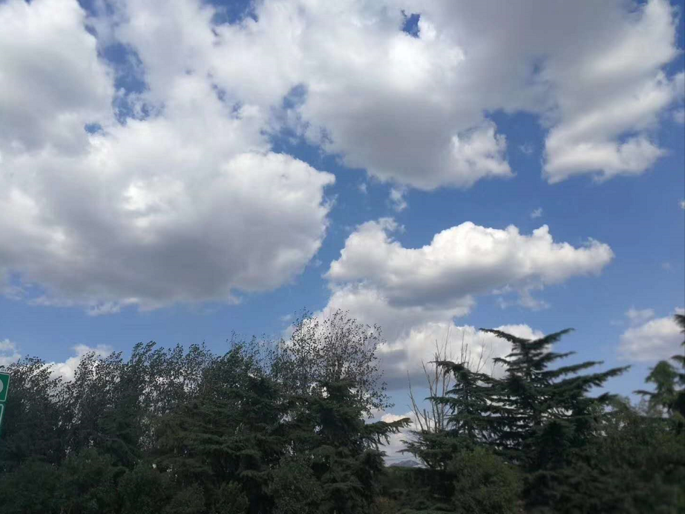 尊龙凯时生态农场开启新大门