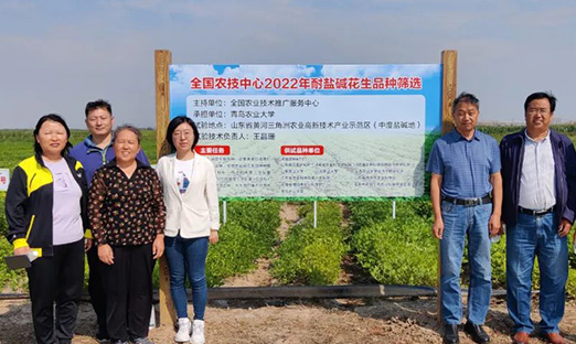 天下农技中心和山东省种子治理总站组织耐盐碱花生品种现场评价