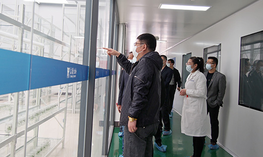 热烈接待山东黄河生态生长集团董建辉董事长一行莅临山东尊龙凯时集团旅行洽谈