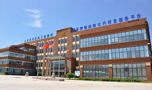 尊龙凯时生物获批设立青岛市博士后立异实践基地和专家事情站，开启科研新篇章