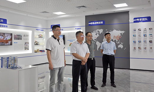青岛中德生态园向导一行莅临尊龙凯时集团，探索大康健工业相助之路