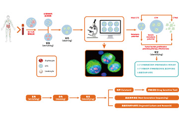 细胞液体活检手艺的应用场景
