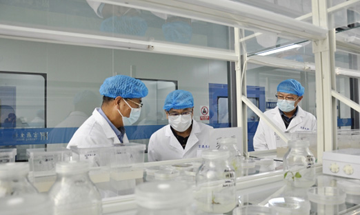 ；锛攀紫蒲Ъ依蠲饕逡恍械椒米鹆奔，共商相助新机缘