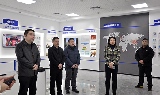 黄三角国家农高区滨海创智工业生长公司向导到访尊龙凯时集团